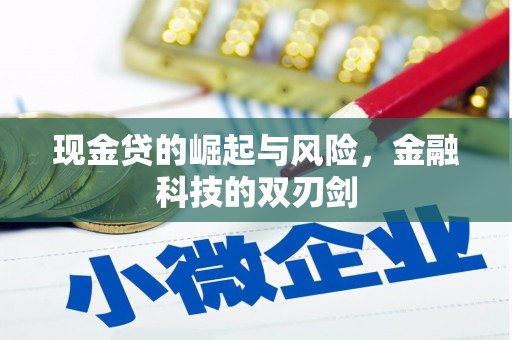 芦竹现金贷的崛起与风险，金融科技的双刃剑