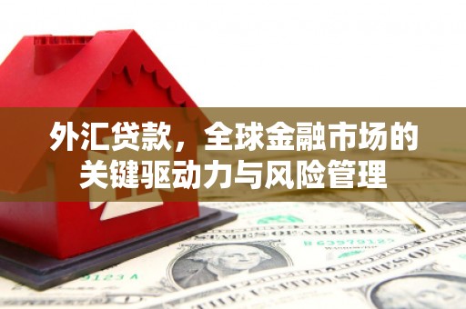 芦竹外汇贷款，全球金融市场的关键驱动力与风险管理