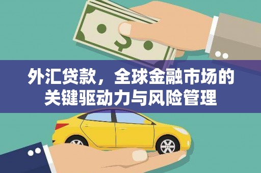 芦竹外汇贷款，全球金融市场的关键驱动力与风险管理