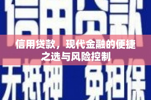 芦竹信用贷款，现代金融的便捷之选与风险控制