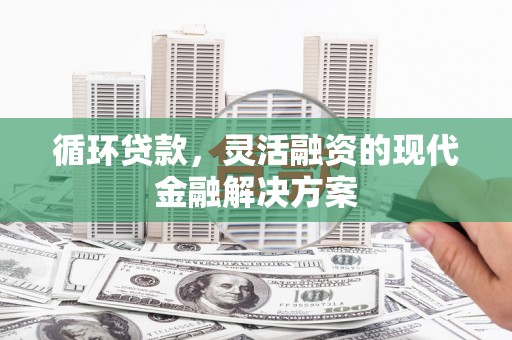 芦竹循环贷款，灵活融资的现代金融解决方案