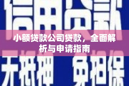 芦竹小额贷款公司贷款，全面解析与申请指南