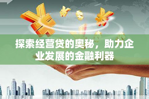 芦竹探索经营贷的奥秘，助力企业发展的金融利器
