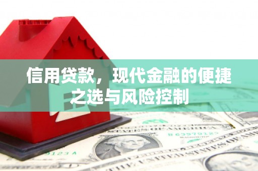 芦竹信用贷款，现代金融的便捷之选与风险控制