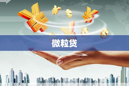 芦竹微粒贷