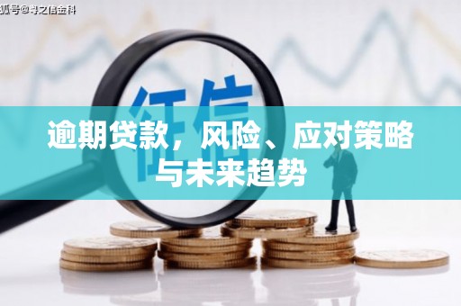 芦竹逾期贷款，风险、应对策略与未来趋势