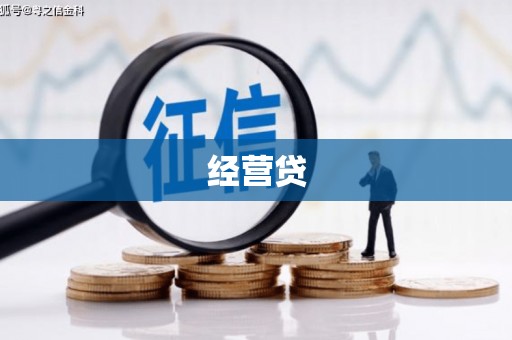 芦竹经营贷