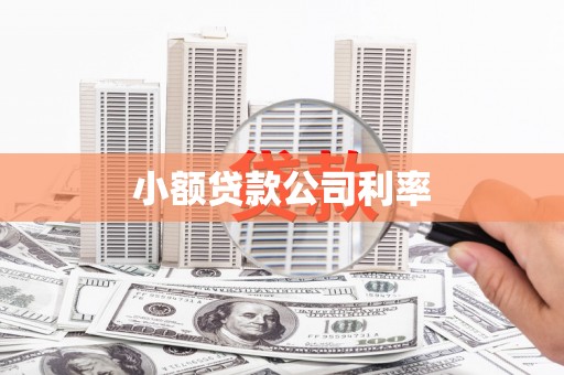 芦竹小额贷款公司利率