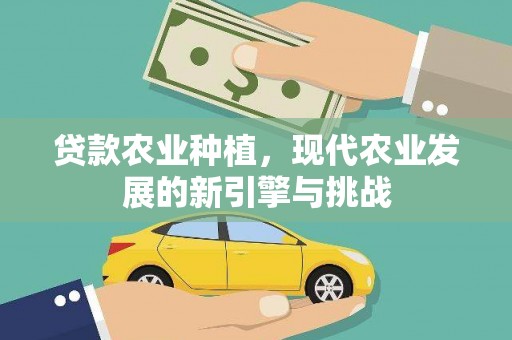 芦竹贷款农业种植，现代农业发展的新引擎与挑战