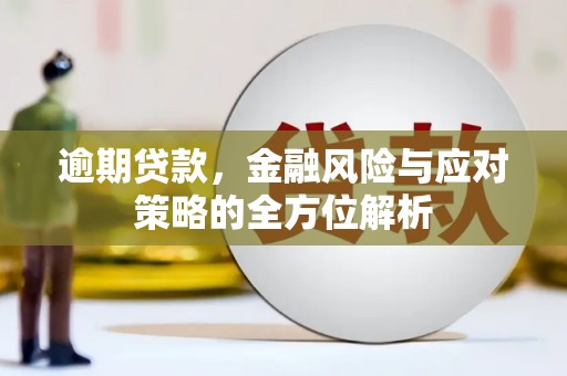 芦竹逾期贷款，金融风险与应对策略的全方位解析