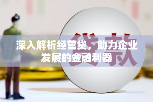 芦竹深入解析经营贷，助力企业发展的金融利器
