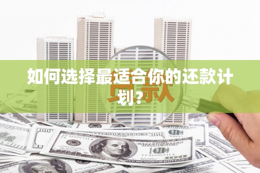 芦竹如何选择最适合你的还款计划？