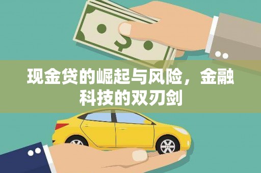 芦竹现金贷的崛起与风险，金融科技的双刃剑