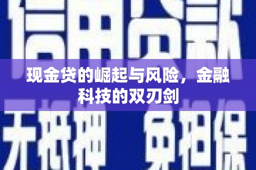 芦竹现金贷的崛起与风险，金融科技的双刃剑