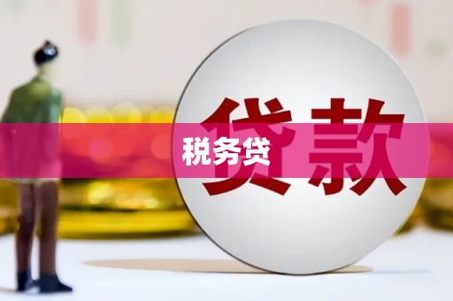 芦竹税务贷