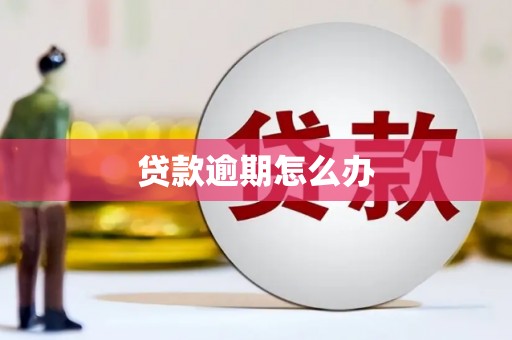 芦竹贷款逾期怎么办