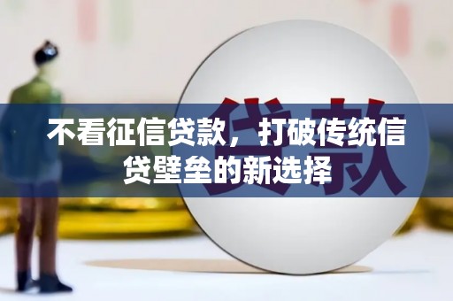 芦竹不看征信贷款，打破传统信贷壁垒的新选择