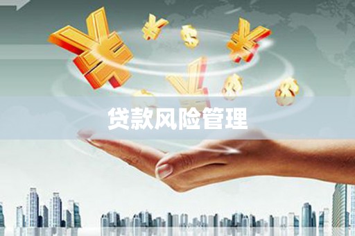 芦竹贷款风险管理