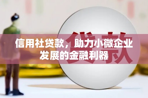 芦竹信用社贷款，助力小微企业发展的金融利器
