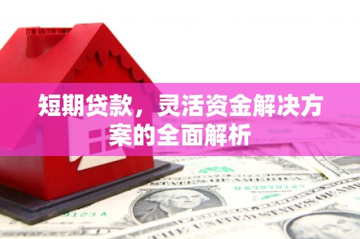 芦竹短期贷款，灵活资金解决方案的全面解析