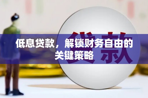 芦竹低息贷款，解锁财务自由的关键策略