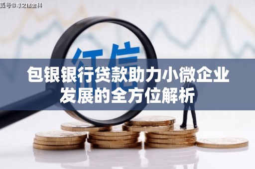 芦竹包银银行贷款助力小微企业发展的全方位解析