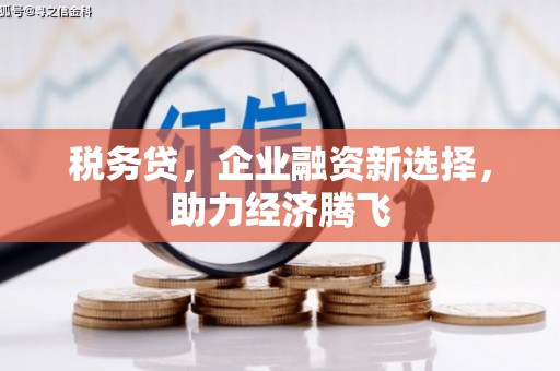 芦竹税务贷，企业融资新选择，助力经济腾飞