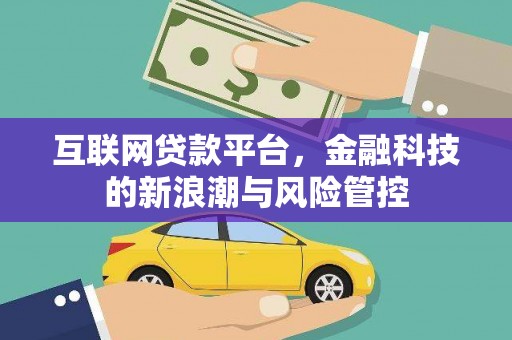 芦竹互联网贷款平台，金融科技的新浪潮与风险管控
