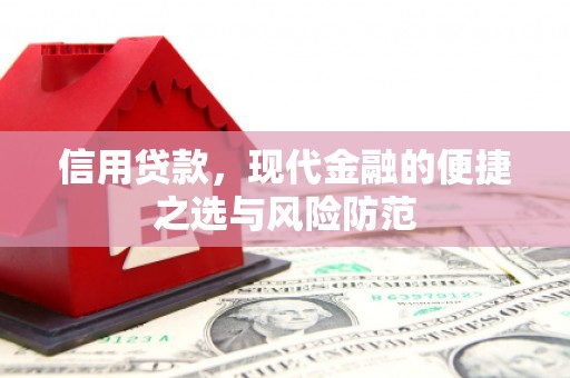 芦竹信用贷款，现代金融的便捷之选与风险防范