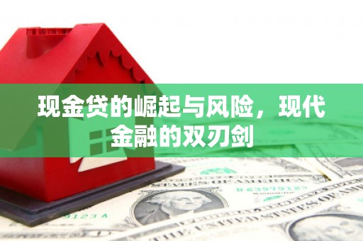 芦竹现金贷的崛起与风险，现代金融的双刃剑