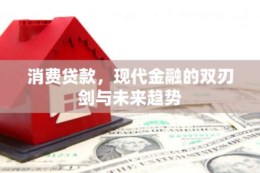芦竹消费贷款，现代金融的双刃剑与未来趋势