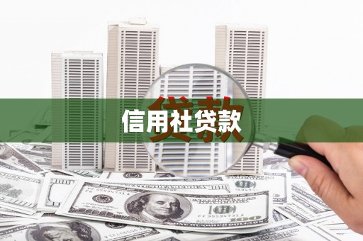 芦竹信用社贷款