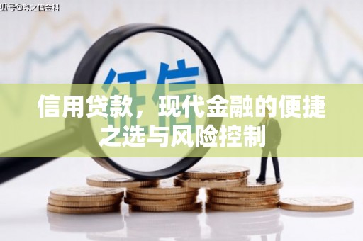 芦竹信用贷款，现代金融的便捷之选与风险控制