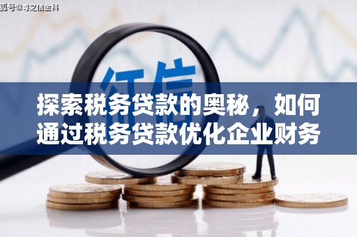芦竹探索税务贷款的奥秘，如何通过税务贷款优化企业财务