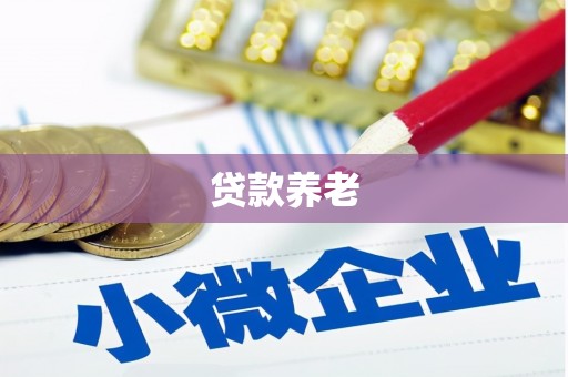 芦竹贷款养老
