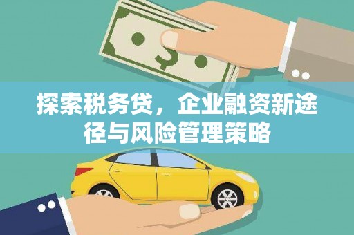 芦竹探索税务贷，企业融资新途径与风险管理策略