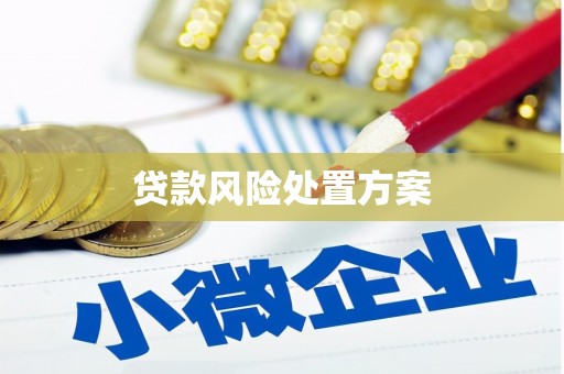 芦竹贷款风险处置方案