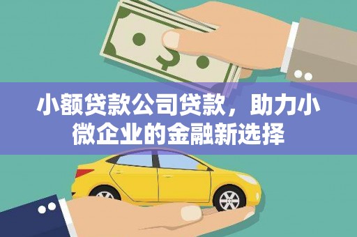 芦竹小额贷款公司贷款，助力小微企业的金融新选择