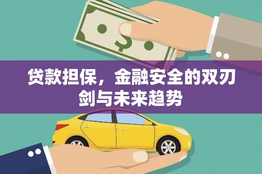 芦竹贷款担保，金融安全的双刃剑与未来趋势