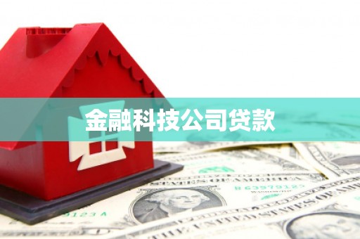 芦竹金融科技公司贷款