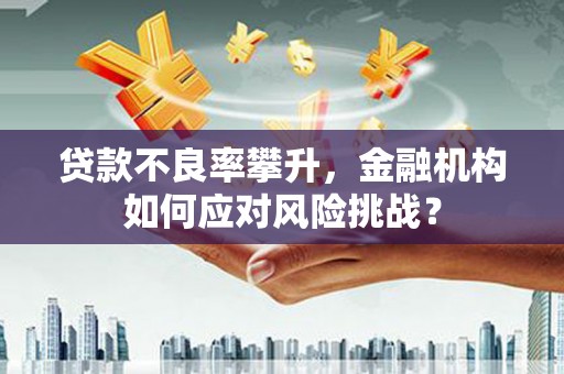 芦竹贷款不良率攀升，金融机构如何应对风险挑战？