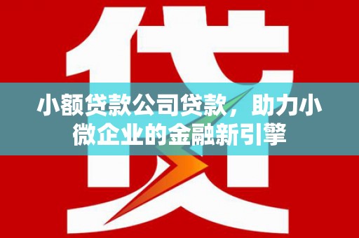 芦竹小额贷款公司贷款，助力小微企业的金融新引擎