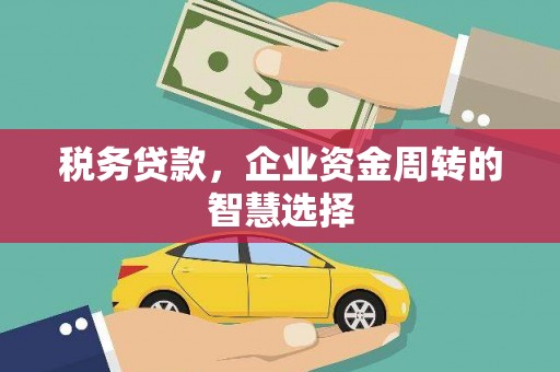 芦竹税务贷款，企业资金周转的智慧选择