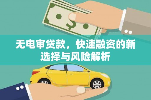 芦竹无电审贷款，快速融资的新选择与风险解析
