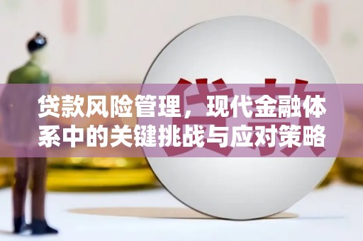 芦竹贷款风险管理，现代金融体系中的关键挑战与应对策略