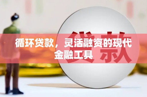 芦竹循环贷款，灵活融资的现代金融工具