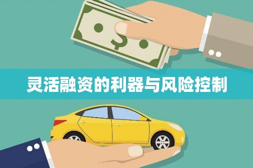 芦竹灵活融资的利器与风险控制
