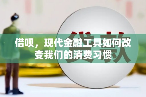 芦竹借呗，现代金融工具如何改变我们的消费习惯