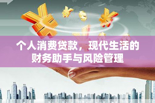 芦竹个人消费贷款，现代生活的财务助手与风险管理