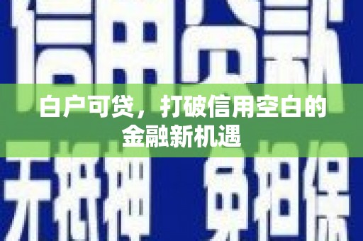 芦竹白户可贷，打破信用空白的金融新机遇